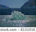Ice floating in front of a glacier 1 8131916