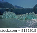 Ice floating in front of a glacier 2 8131918