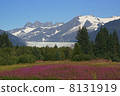 Alaska glacier and flower garden 2 8131919