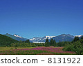 Alaska Glacier and Flower Field 1 8131922