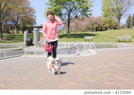 A young lady walking a dog A young lady walking a dog 8132094