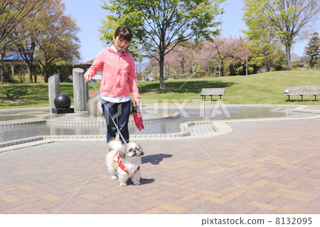 遛狗的一位小姐 8132095