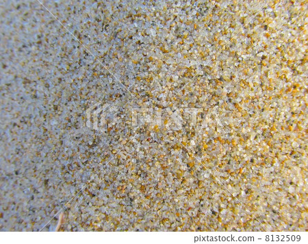 Kotohama的彩色尖叫沙“國家指定天然材料，景區” 8132509