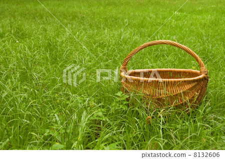 basket 8132606