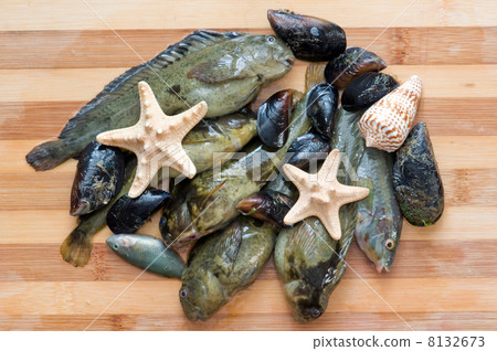 seafood 8132673
