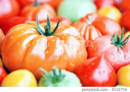 tomato tomato 8132758