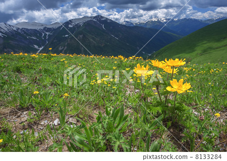 mountain 8133284