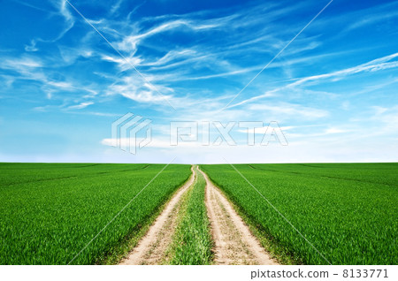road 8133771