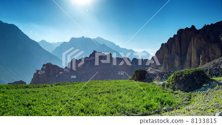 dhankar 8133815