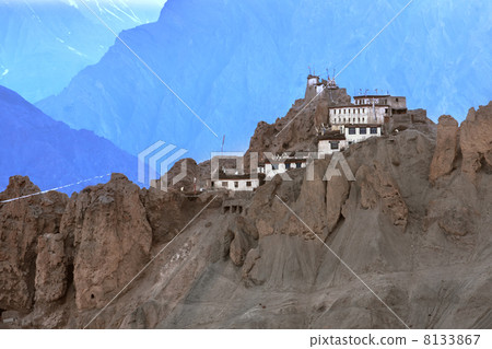dhankar 8133867