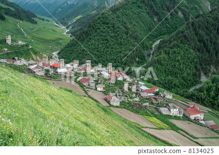 village village 8134025