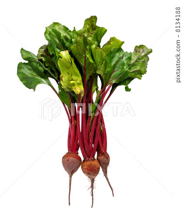 beet 8134188