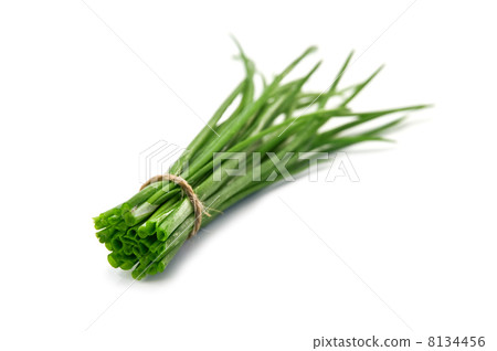 onion onion 8134456