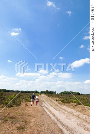 Walking the dogs 8134654