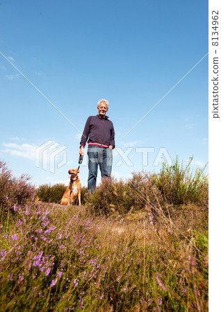 heather landscape 8134962