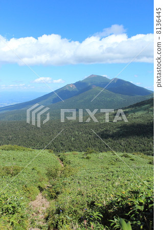 岩手山從三井石山的山路 岩手山從三井石山的山路 8136445