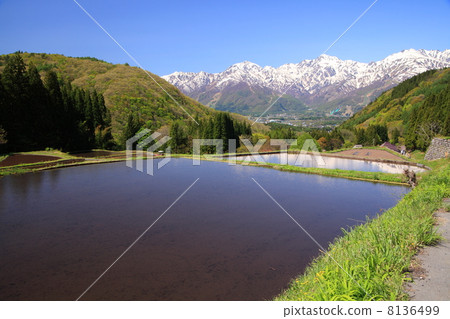 Blue Oni Rice Terrace and Northern Alps Blue Oni Rice Terrace and Northern Alps 8136499