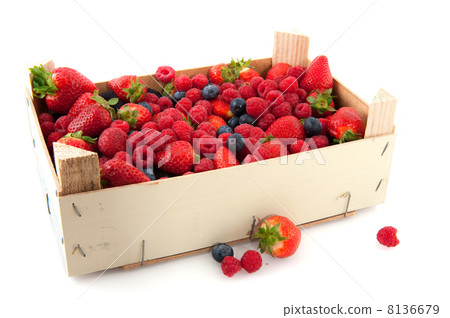 forest fruit 8136679