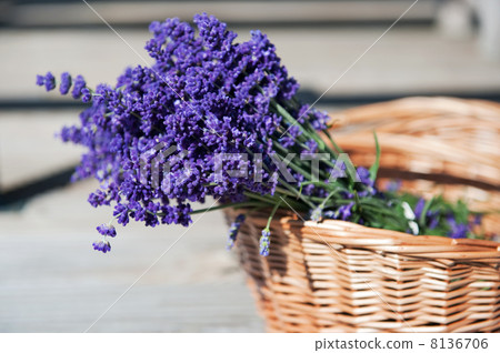 Wicket cane basket with Lavender 8136706