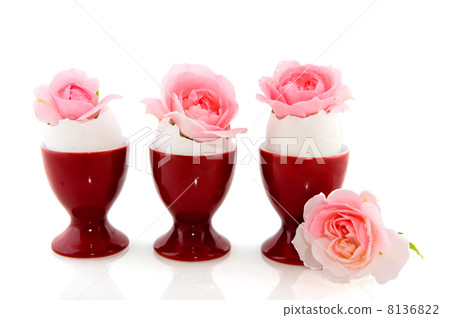 Pink roses Pink roses 8136822