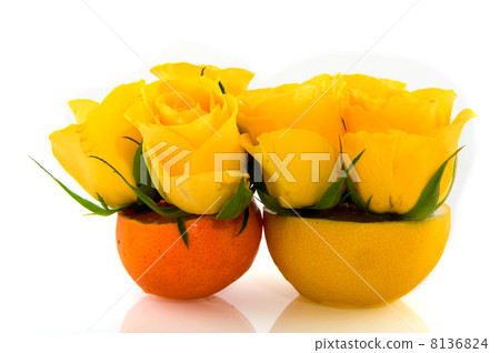 Lemon and tangerine Lemon and tangerine 8136824