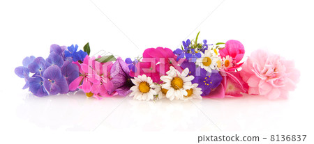 Flower garland 8136837