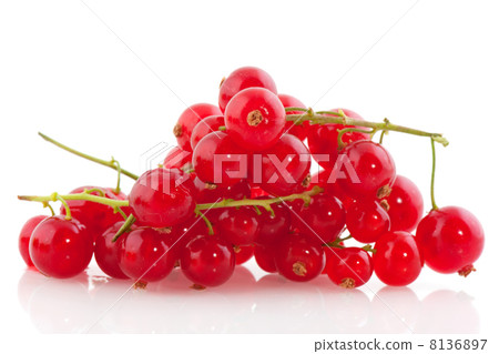 red currants berries red currants berries 8136897