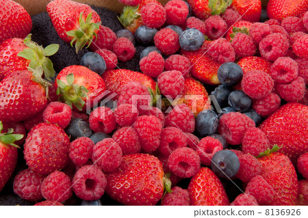 forest fruit forest fruit 8136926