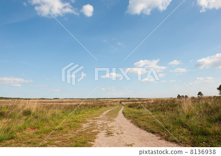 heather fields heather fields 8136938