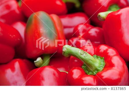 Fresh red paprika 8137865