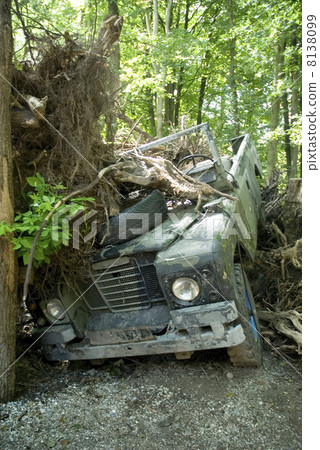 carcrash in the bush 8138099