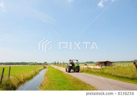 Typical Dutch landscape Typical Dutch landscape 8138258