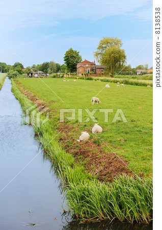 Farmland with farmhouse in Holland 8138538