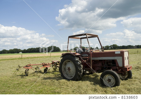 turn around the hay turn around the hay 8138603