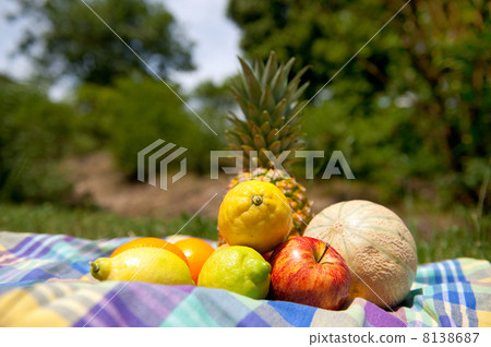 still life with summer fruit 8138687