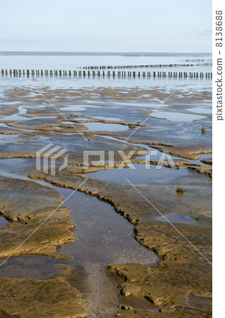 Mudflat Mudflat 8138688