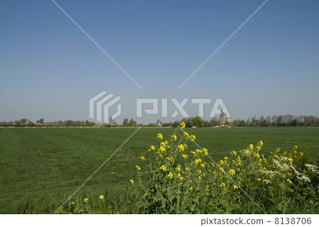 Landscape with windmill 8138706