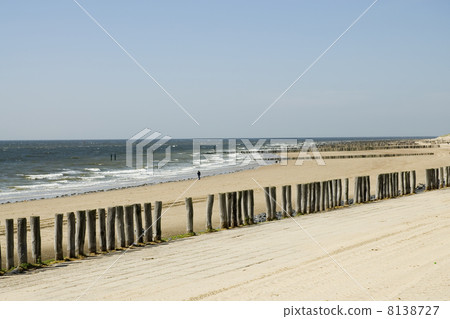 beach 8138727