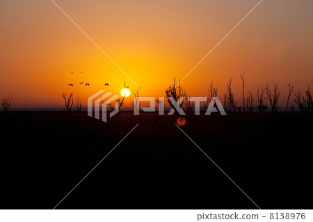 Australia sunset Australia sunset 8138976
