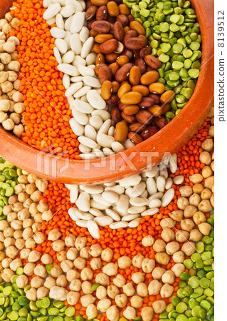 Legumes 8139512