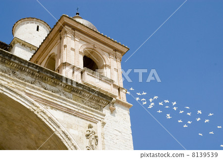 Assisi 8139539