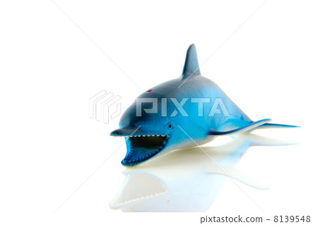 Shark 8139548