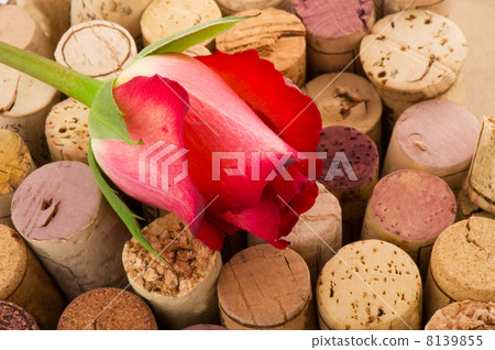 cork from bottles with rose 8139855