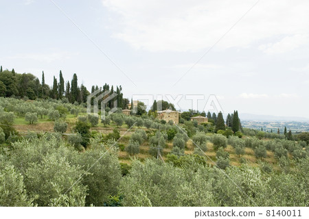 Romantic Italian landscape 8140011