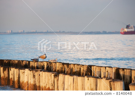 Beach of Breskens with sunset 8140048