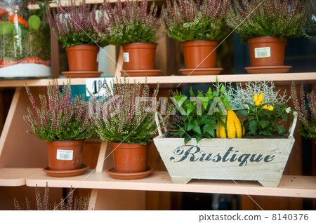 Heather in the flowershop 8140376