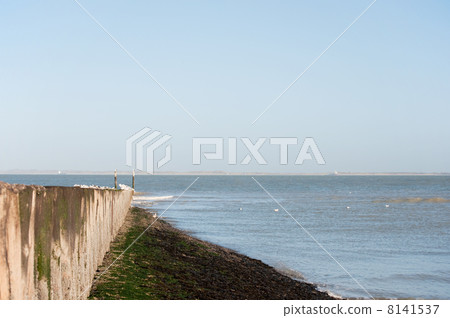 Beach of Breskens Beach of Breskens 8141537