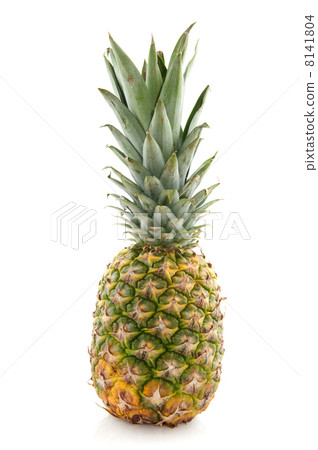 tropical pineapple tropical pineapple 8141804