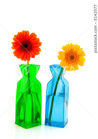 Colorful flowers Colorful flowers 8142077