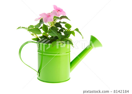 Watering can with flowers Watering can with flowers 8142184
